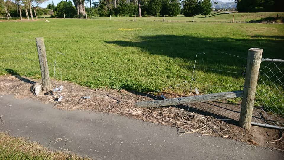 The photograph attached to this parks report