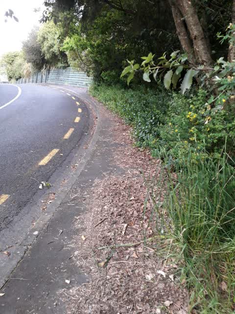 Roading/Streets, a report photo