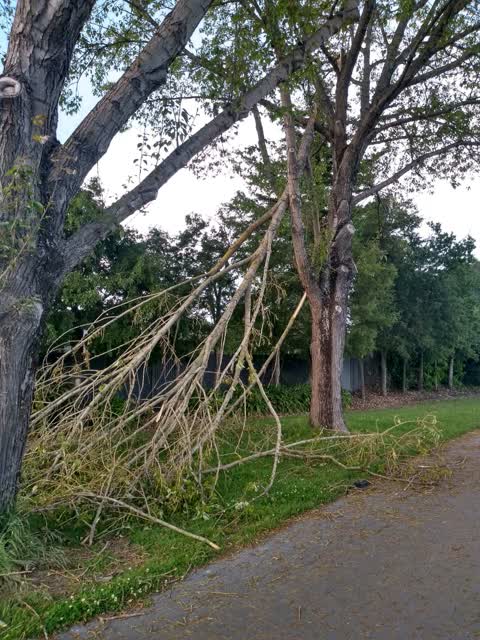 Parks, a report photo