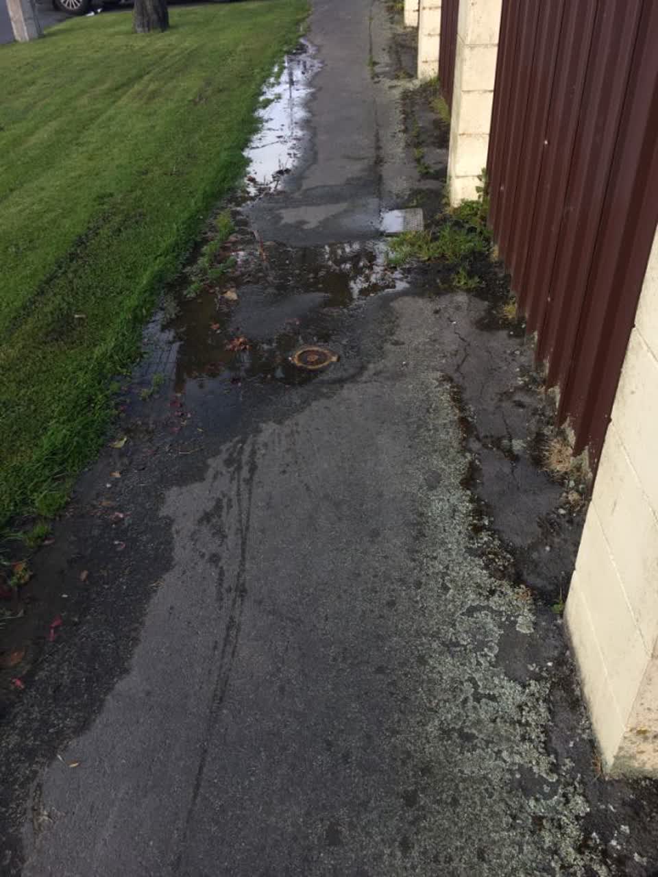 The photograph attached to this water supply report