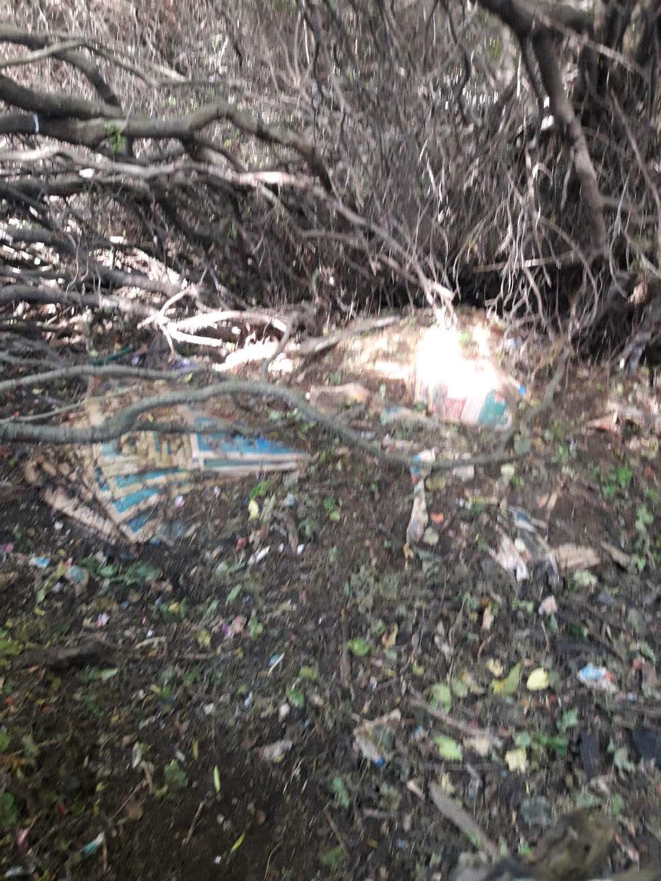 The photograph attached to this rubbish/recycling report