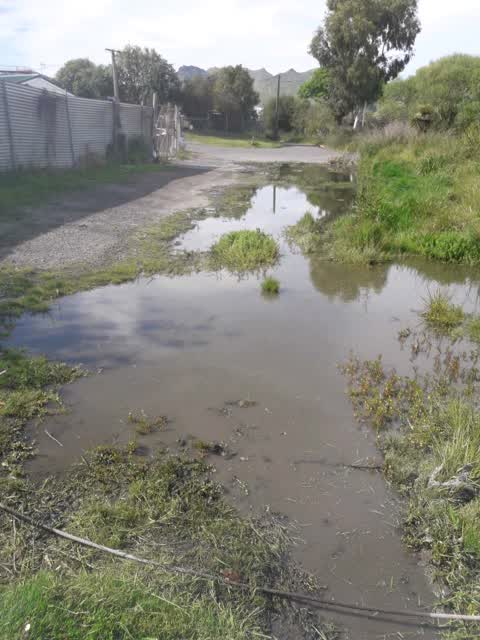 Flooding, a report photo
