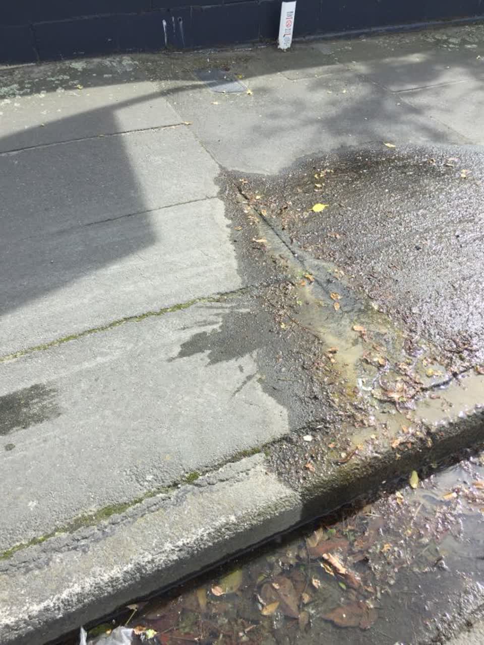 The photograph attached to this water supply report