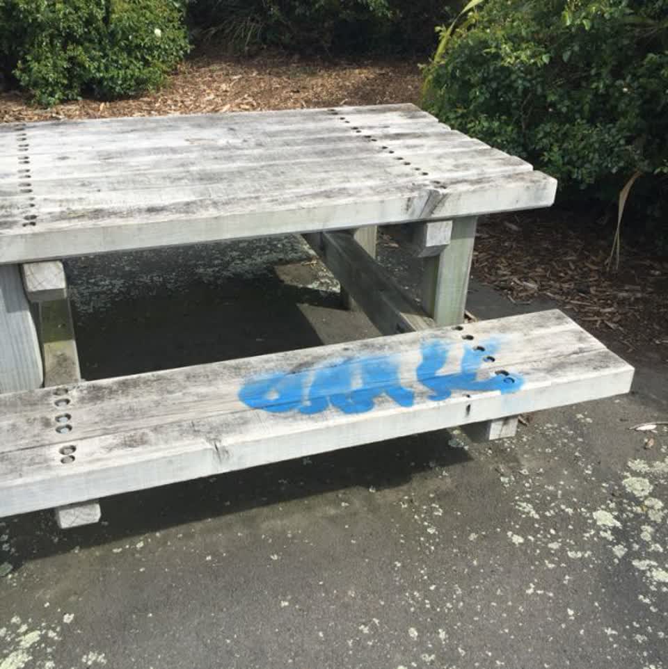 The photograph attached to this graffiti report