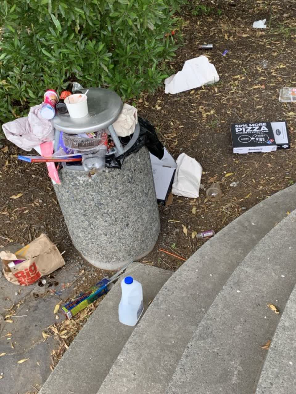 The photograph attached to this parks report