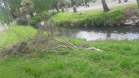 Parks, a report photo