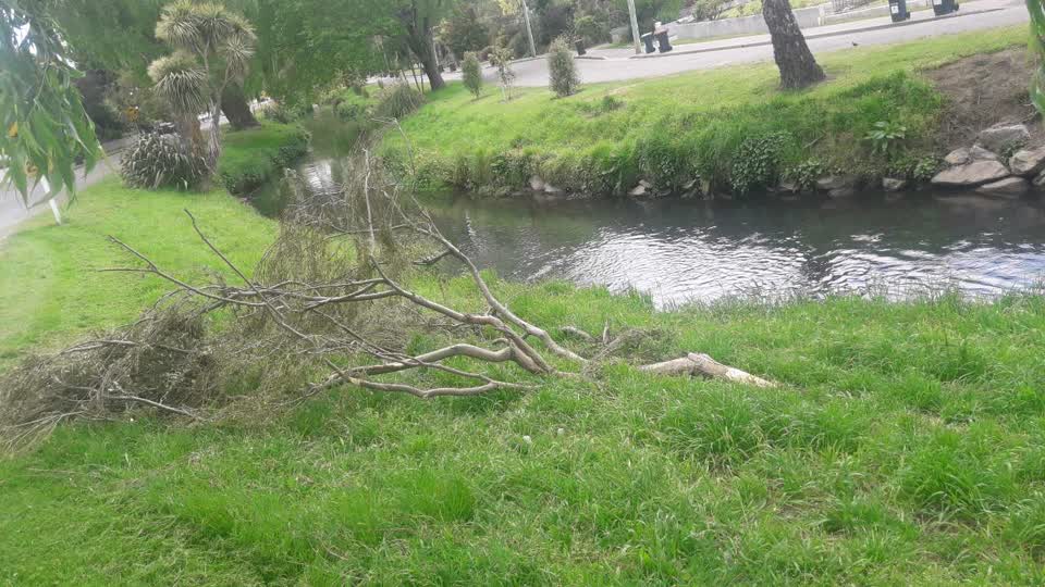 The photograph attached to this parks report