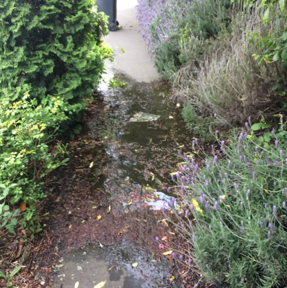 The photograph attached to this water supply report