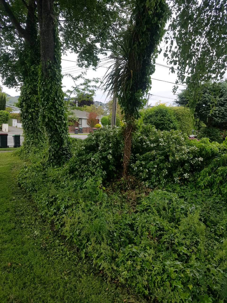 The photograph attached to this parks report