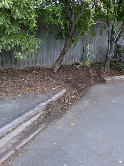 Parks, a report photo