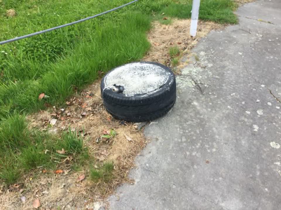 The photograph attached to this rubbish/recycling report