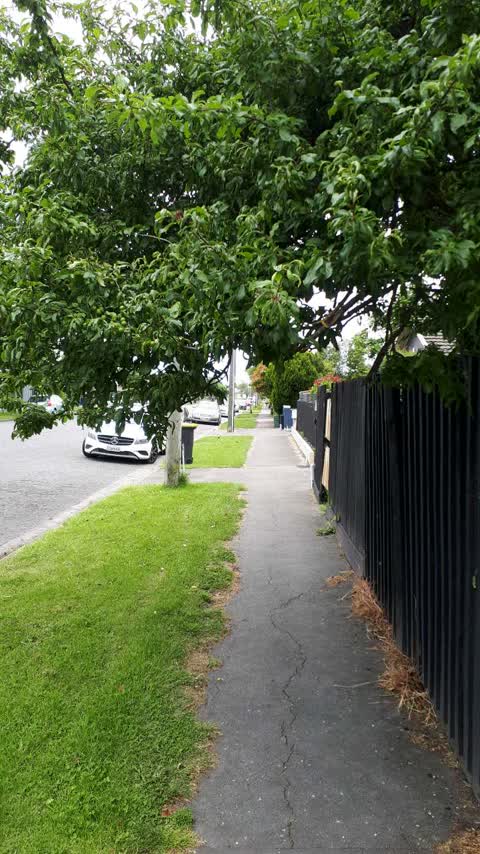 Roading/Streets — a report photo