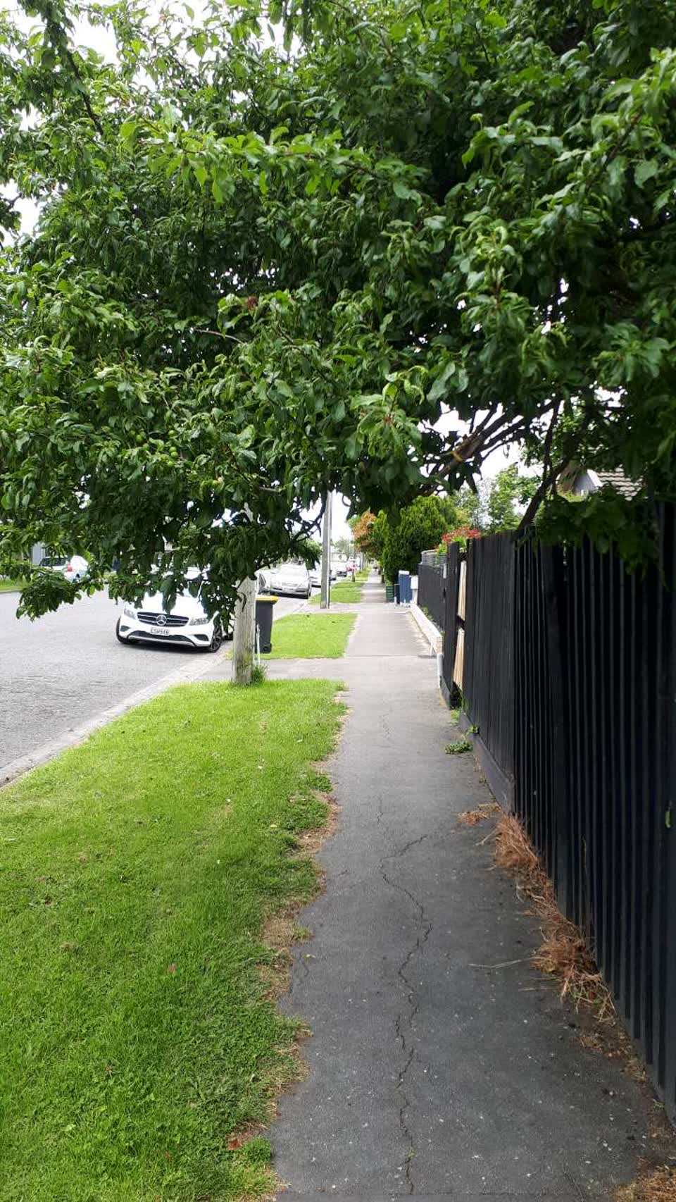 The photograph attached to this roading/streets report