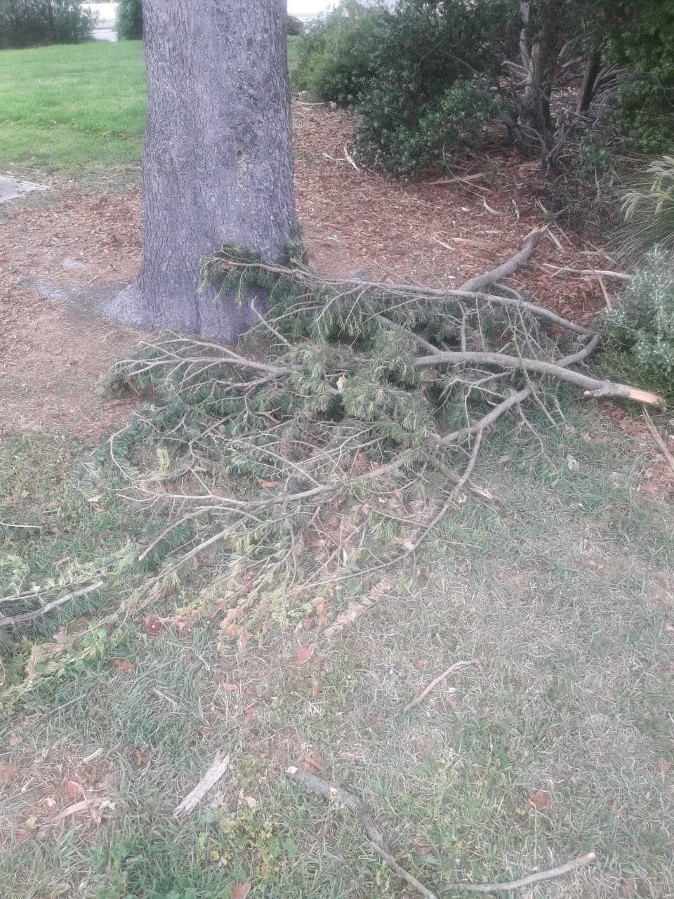 The photograph attached to this parks report