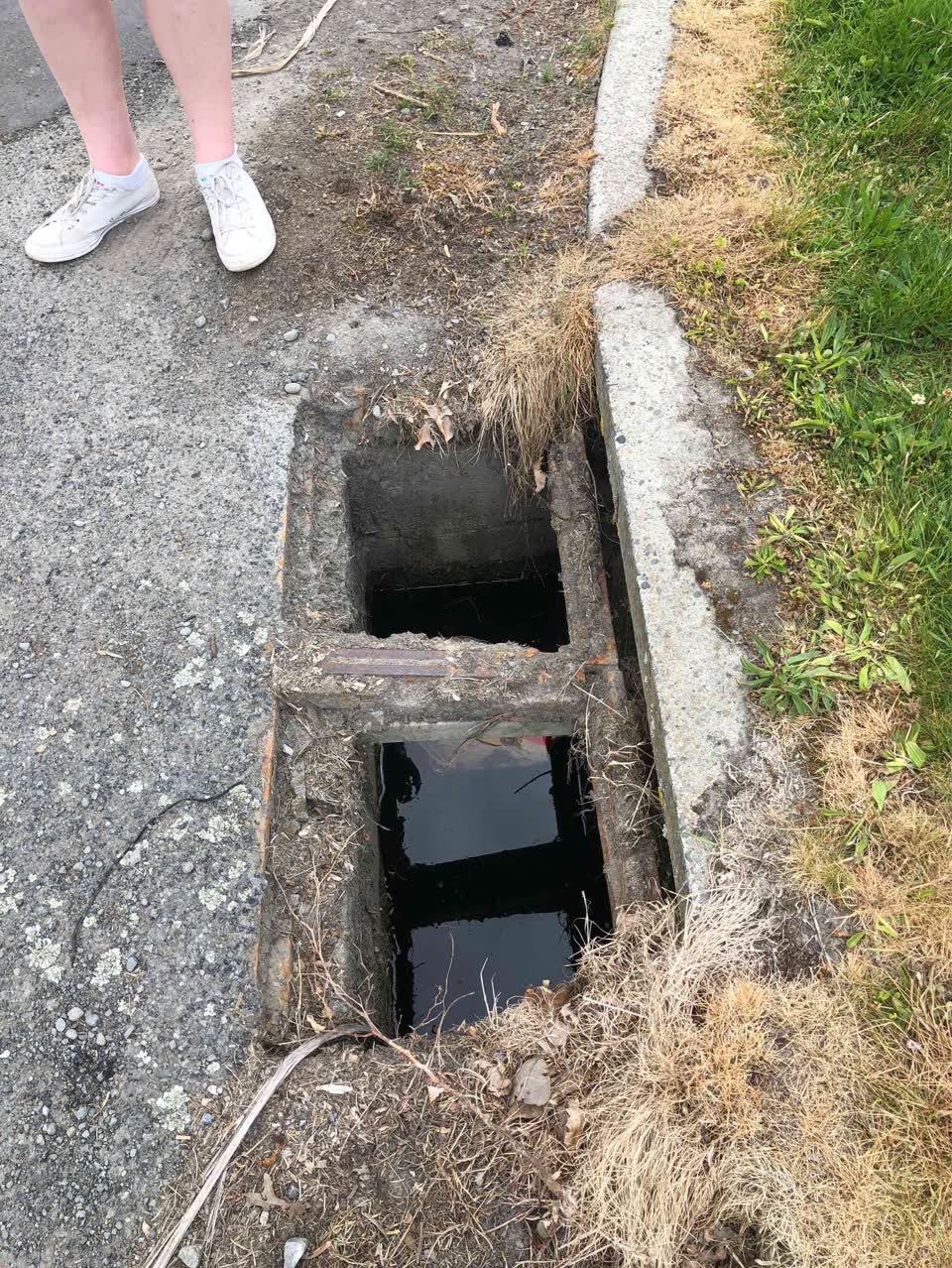 The photograph attached to this wastewater/stormwater report