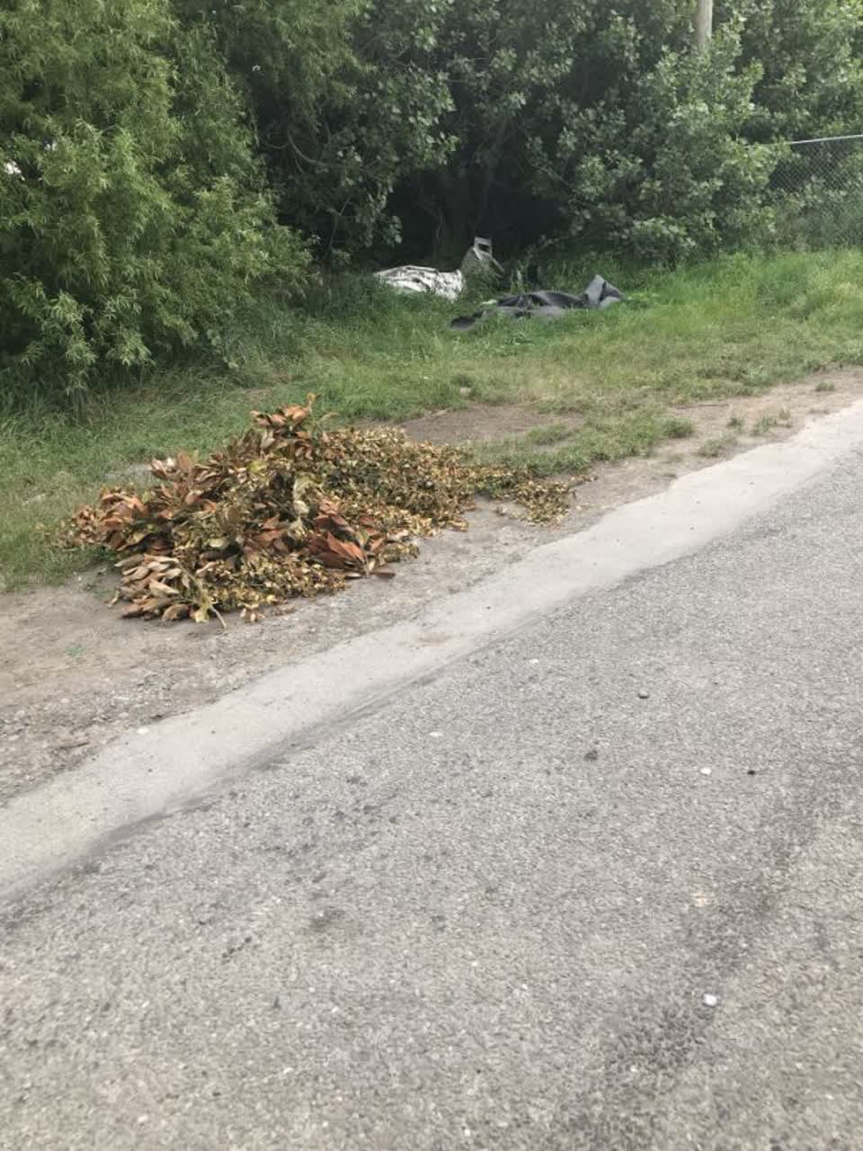 The photograph attached to this rubbish/recycling report