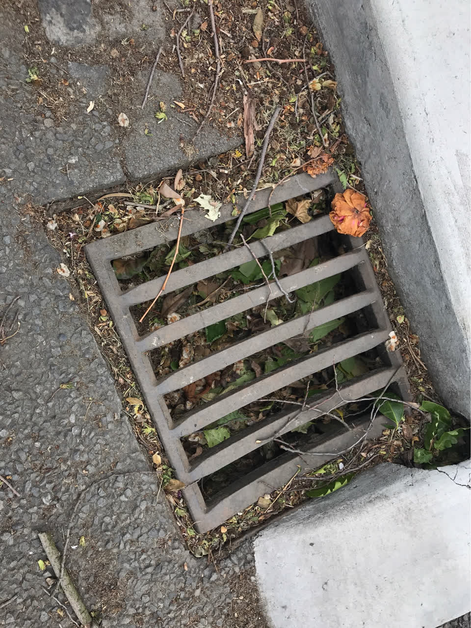The photograph attached to this wastewater/stormwater report