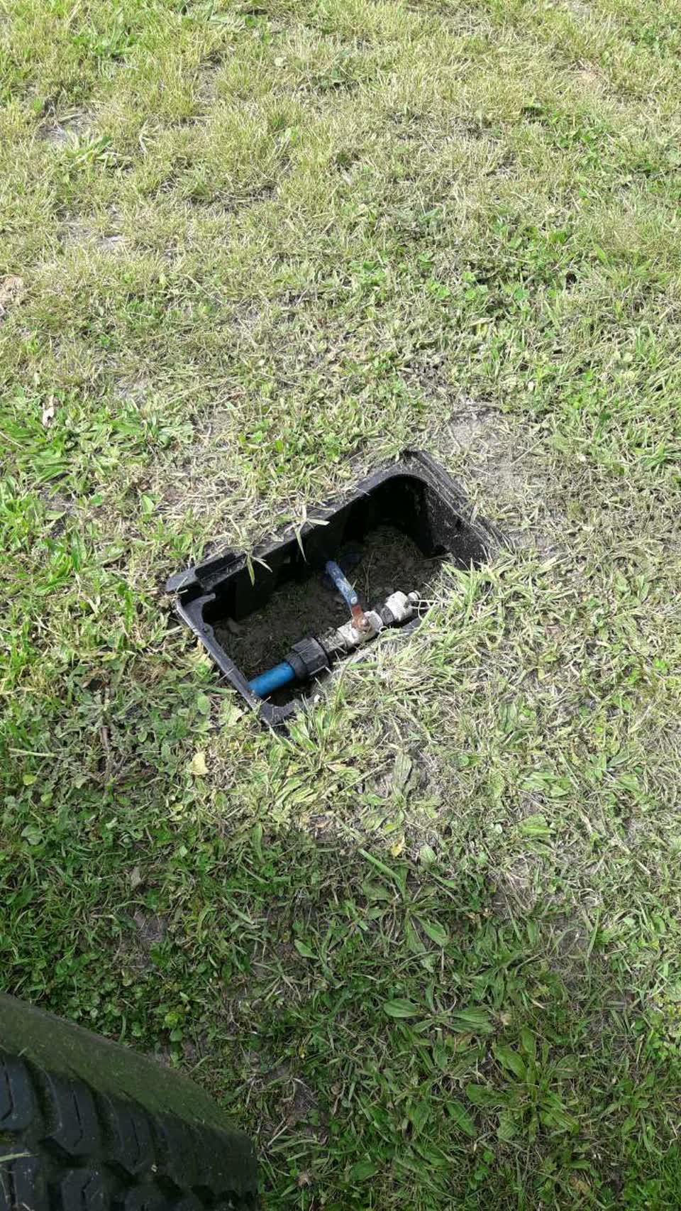 The photograph attached to this parks report
