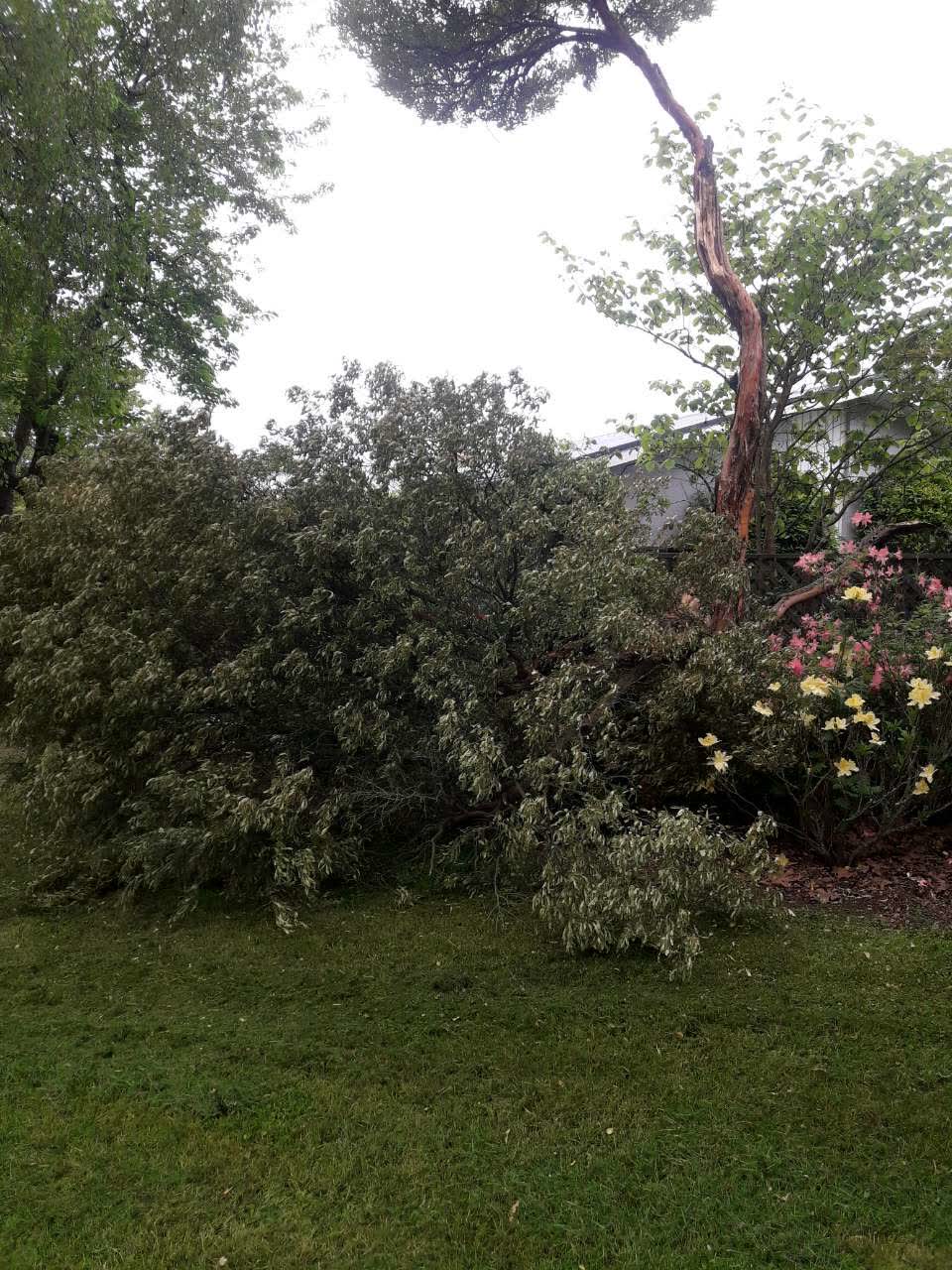 The photograph attached to this parks report