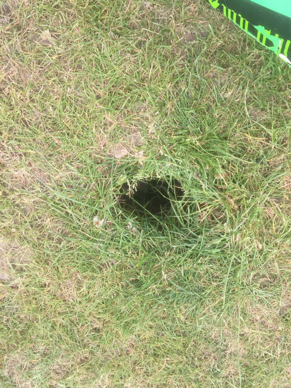 The photograph attached to this parks report