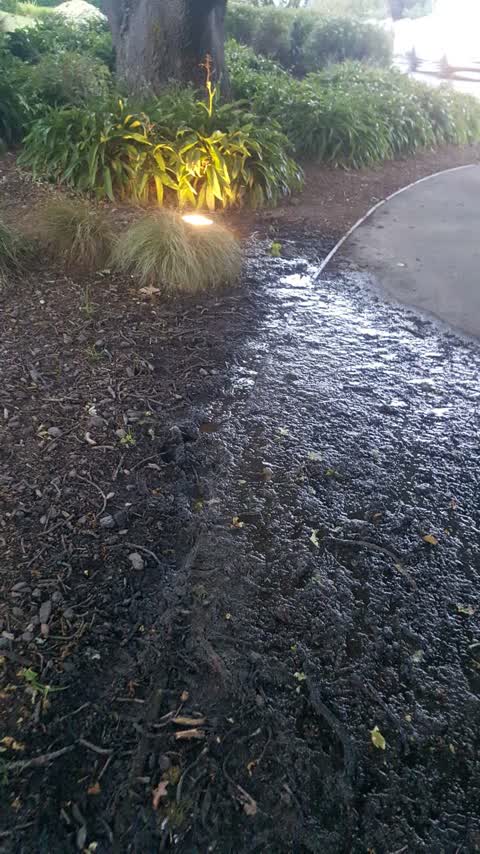Wastewater/Stormwater, a report photo