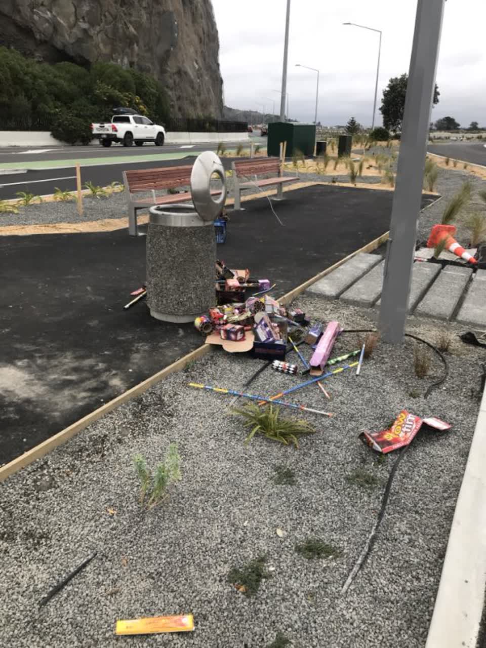 The photograph attached to this rubbish/recycling report