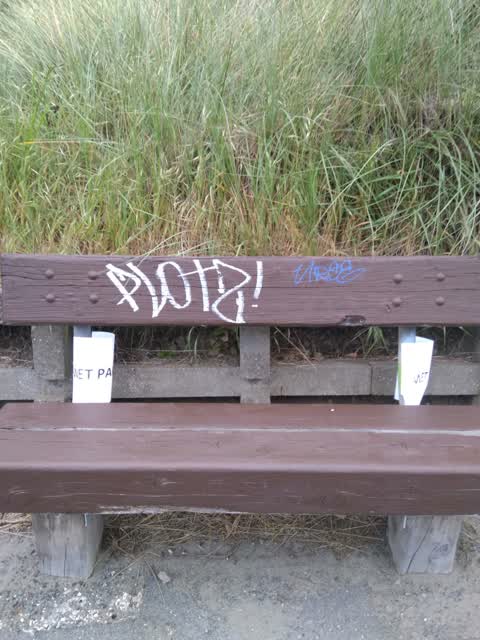 Graffiti, a report photo