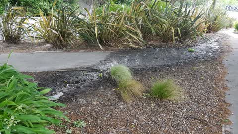 Water Supply — a report photo