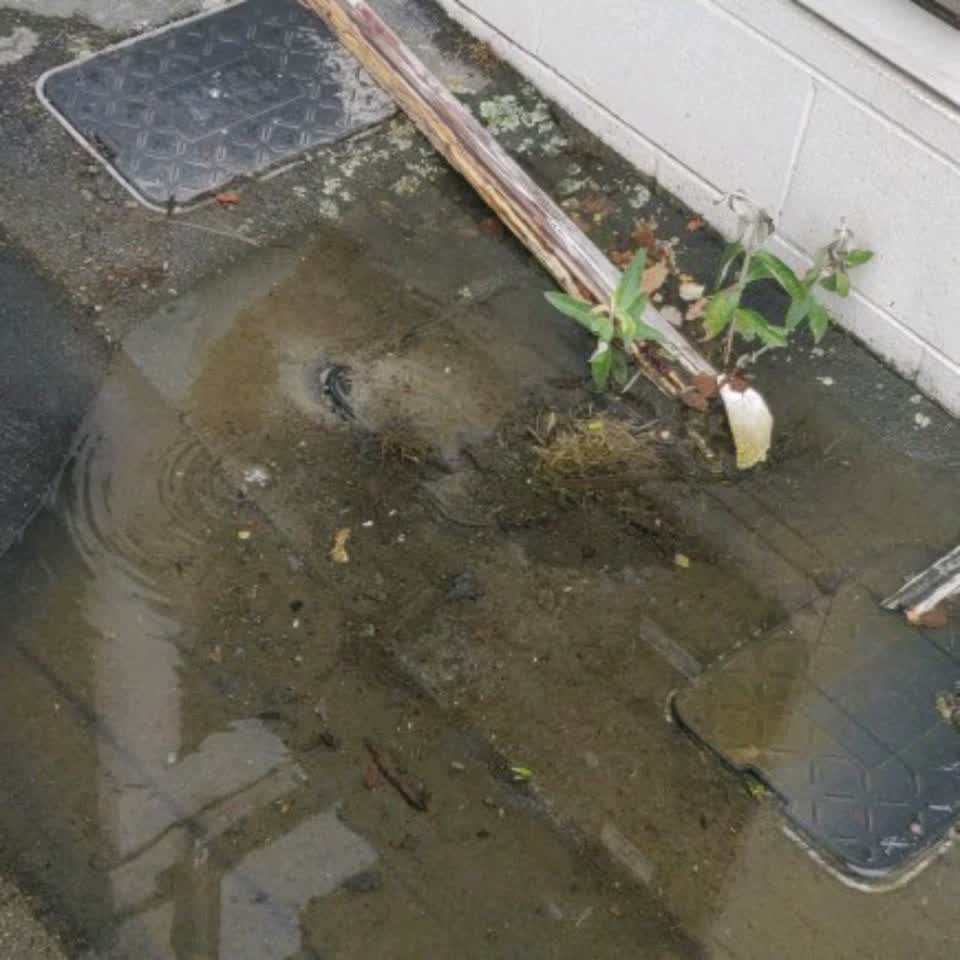 The photograph attached to this water supply report