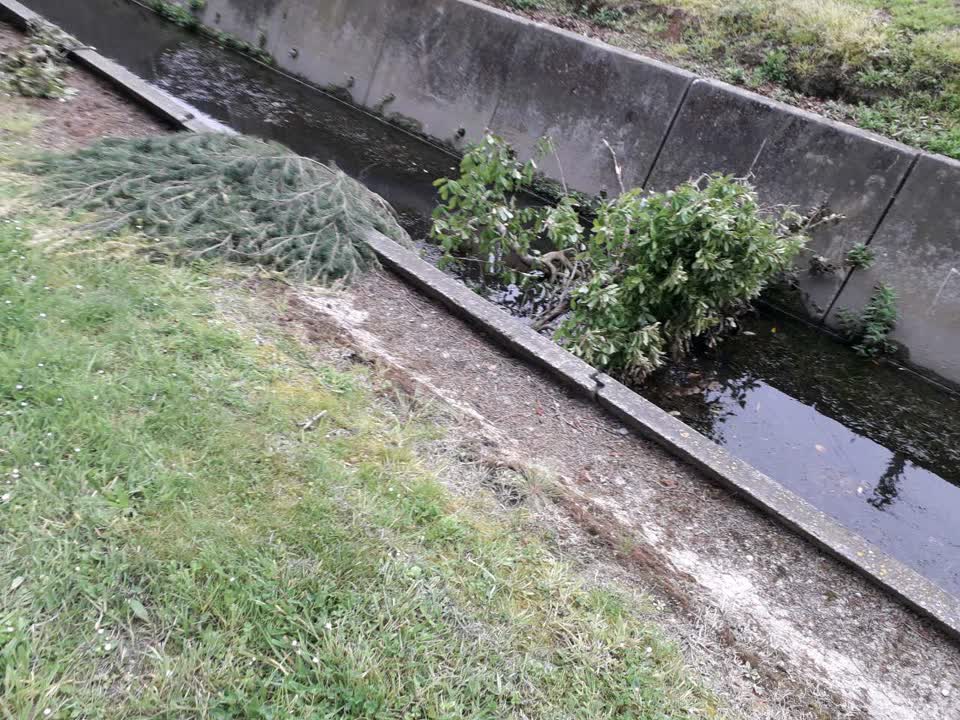 The photograph attached to this parks report