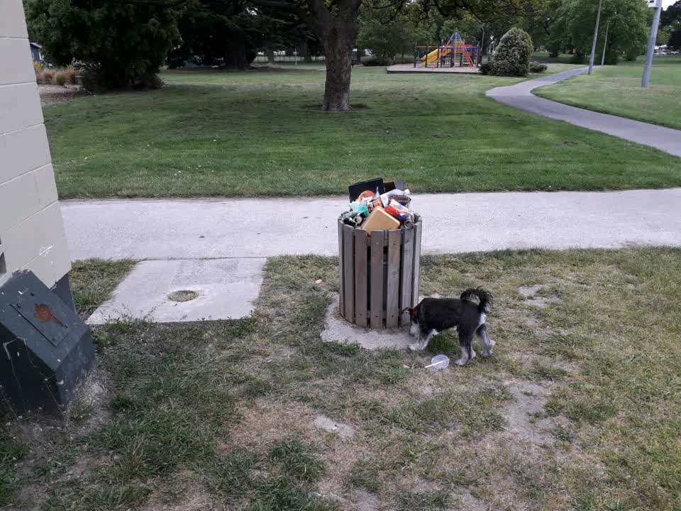 The photograph attached to this rubbish/recycling report