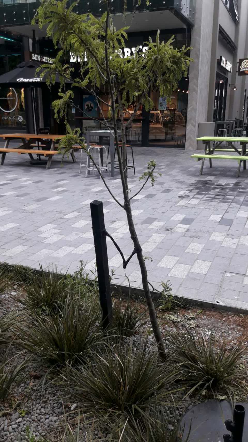 The photograph attached to this parks report