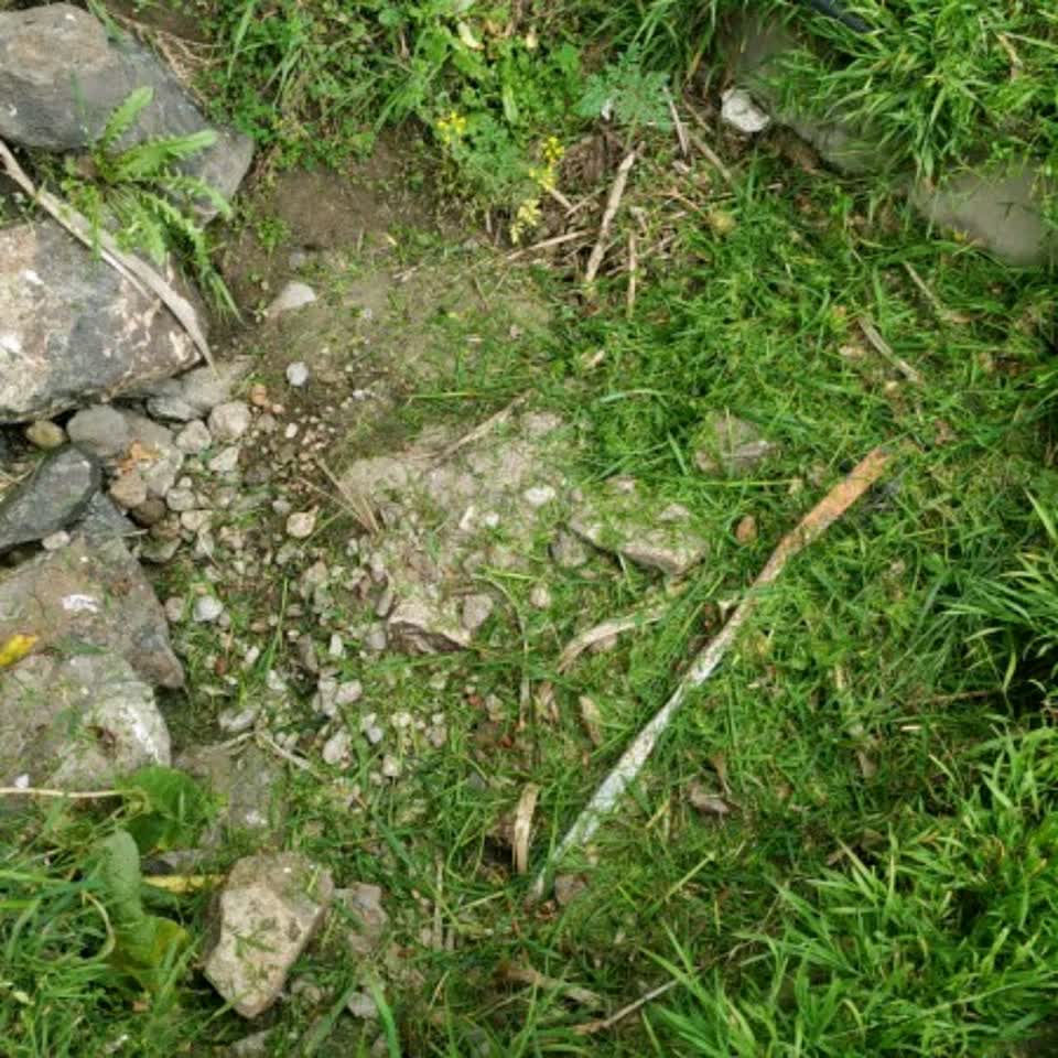 The photograph attached to this wastewater/stormwater report