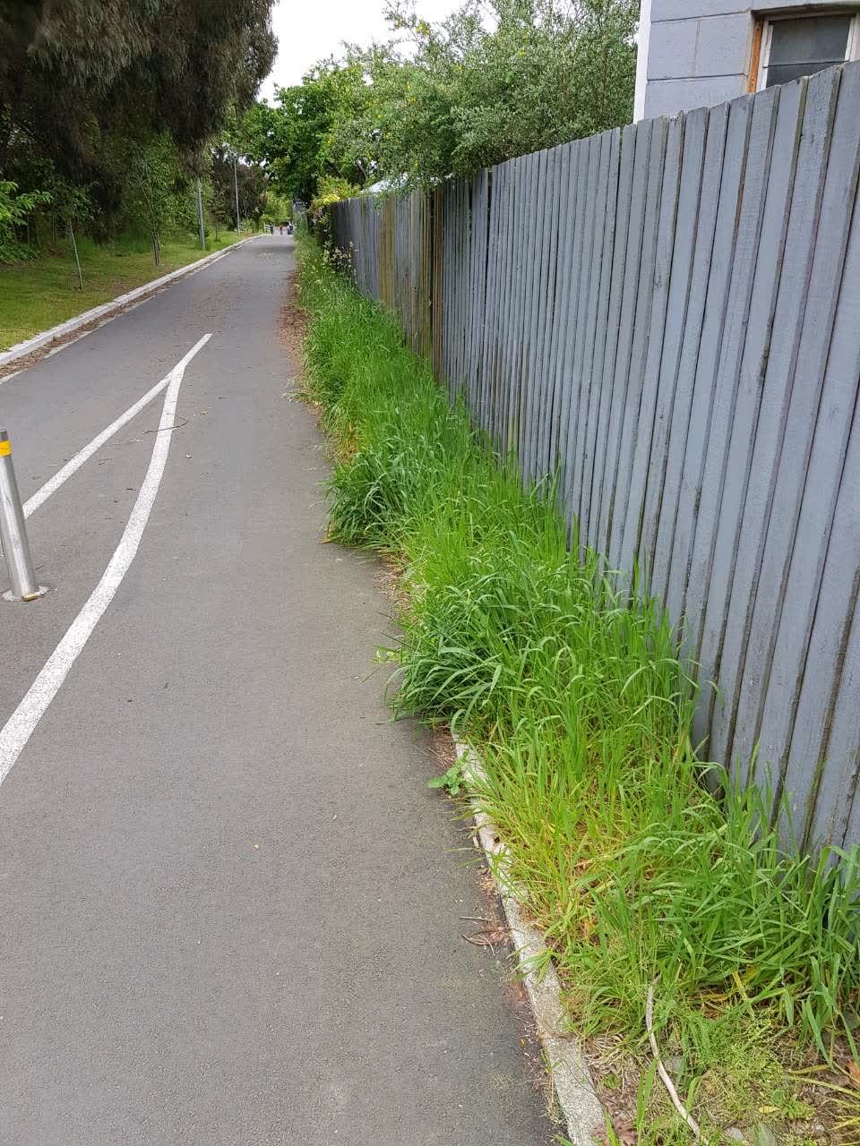 The photograph attached to this parks report