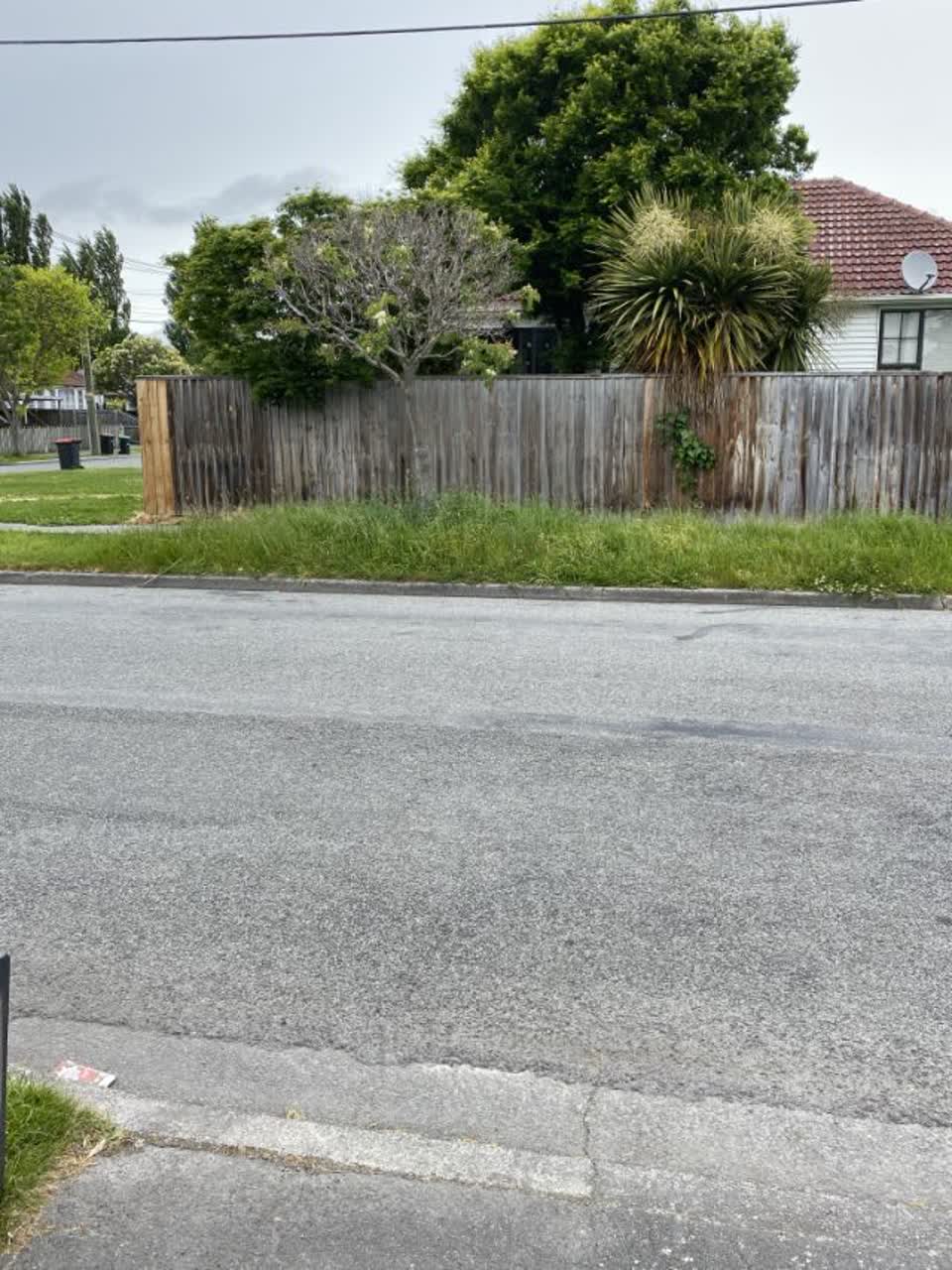 The photograph attached to this parks report