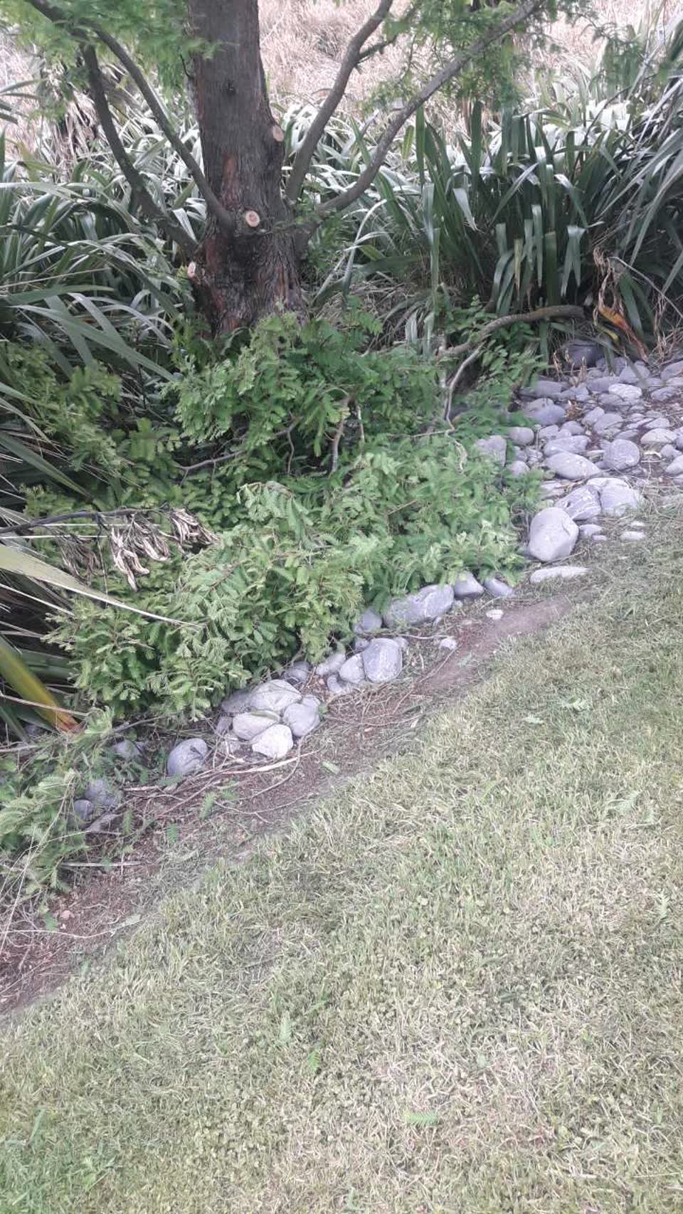 The photograph attached to this parks report