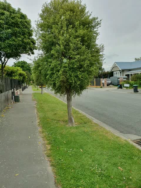 Roading/Streets — a report photo