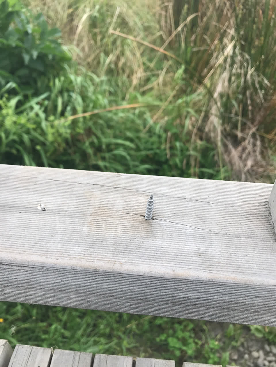 The photograph attached to this parks report