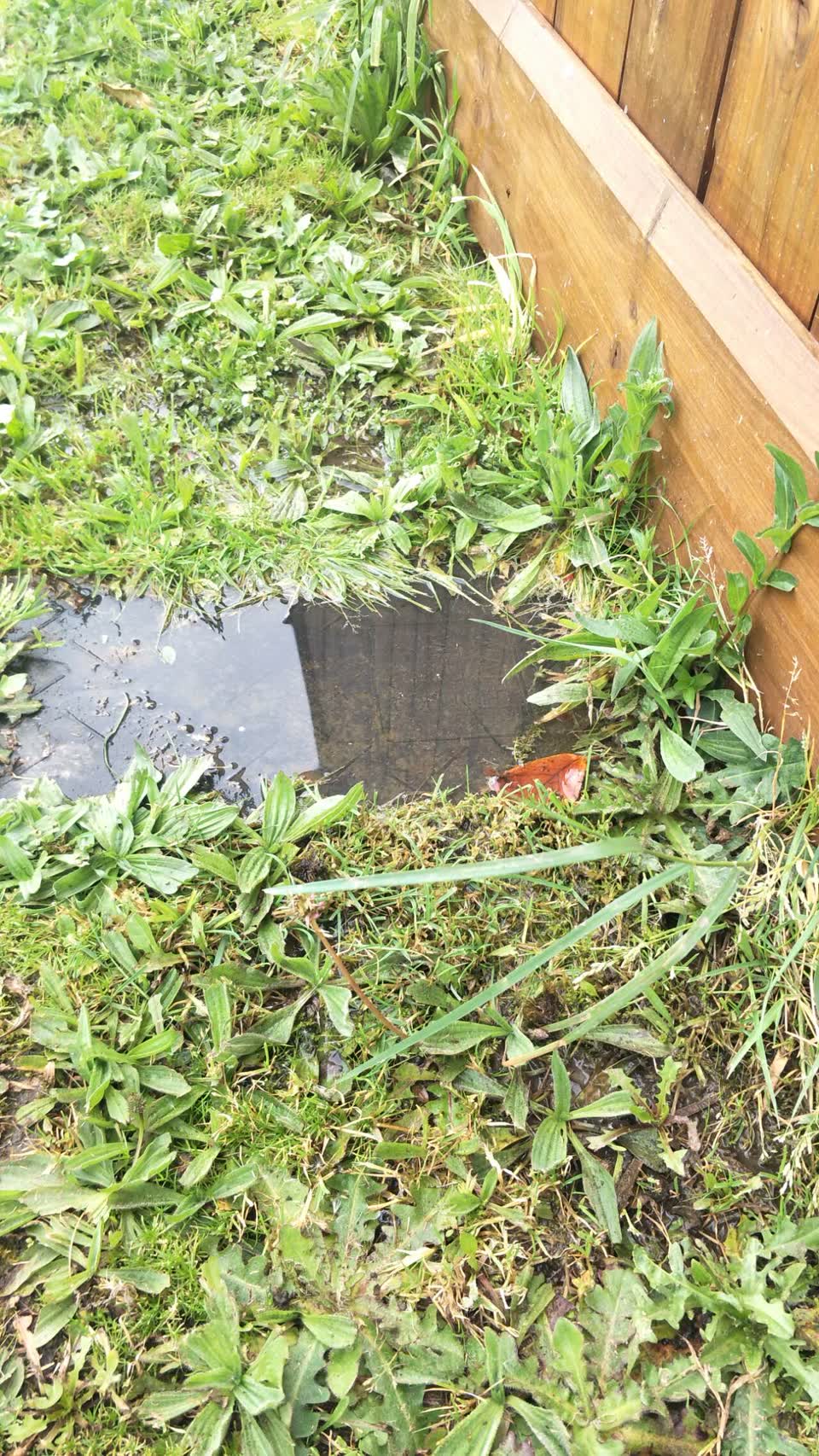 The photograph attached to this water supply report