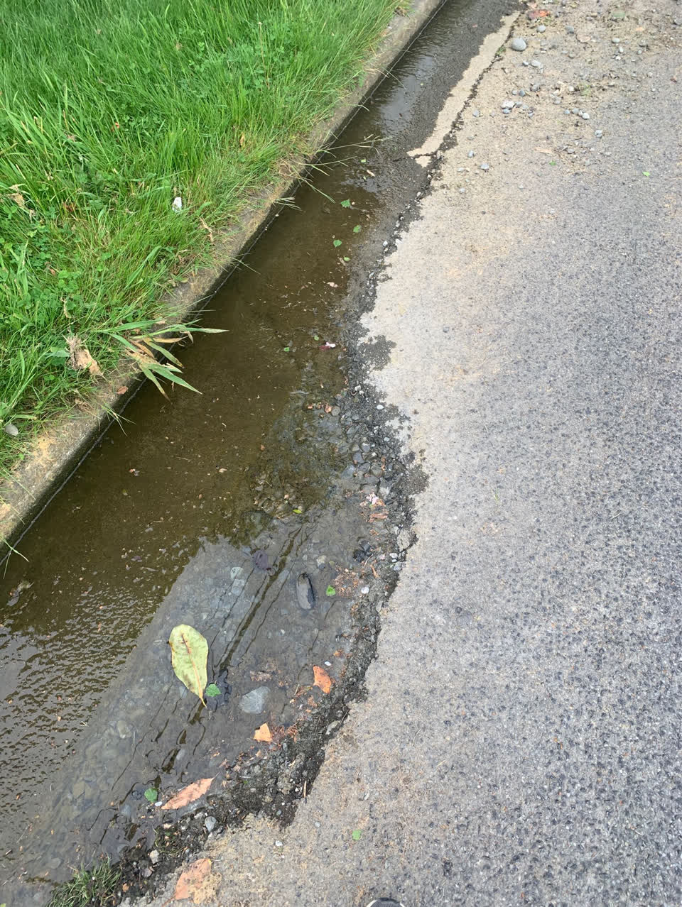 The photograph attached to this water supply report