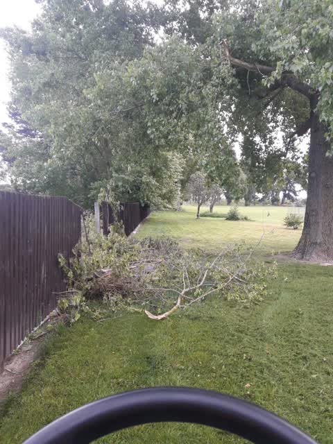 Parks, a report photo