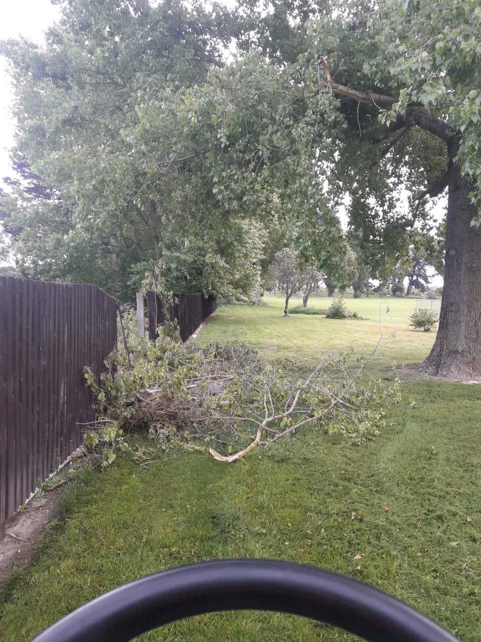 The photograph attached to this parks report