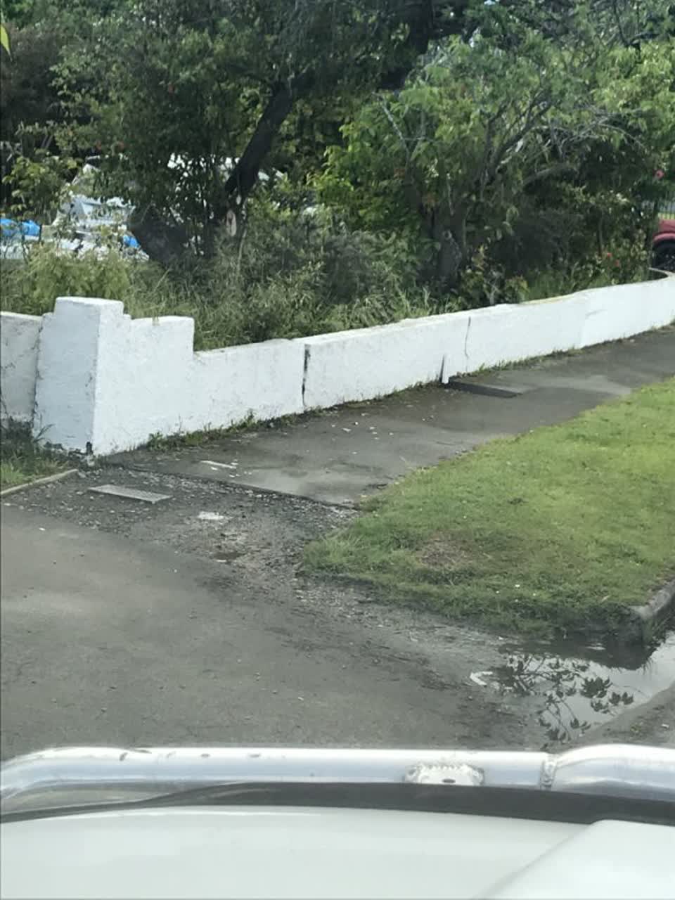 The photograph attached to this water supply report