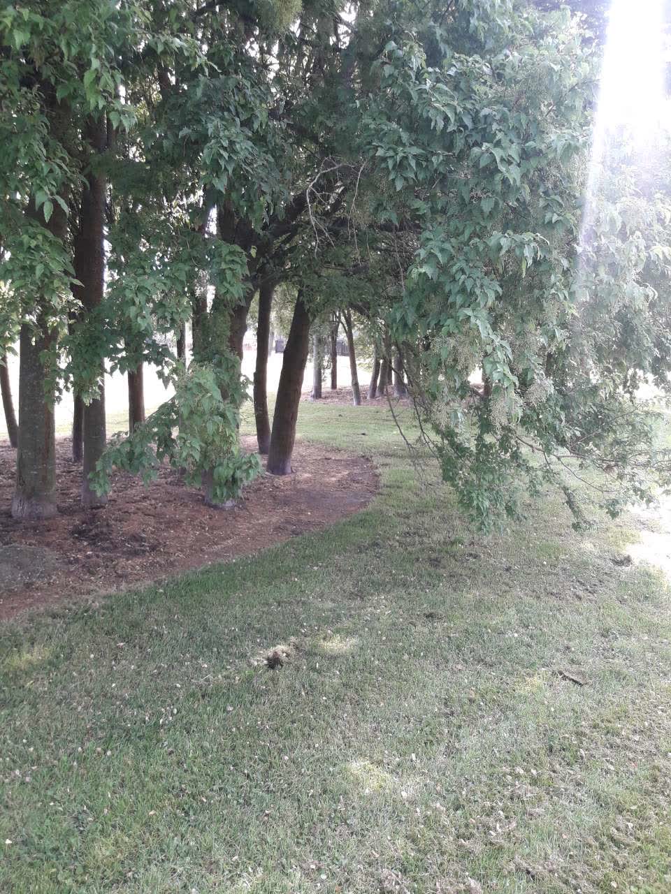 The photograph attached to this parks report