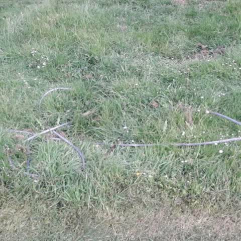 Parks, a report photo