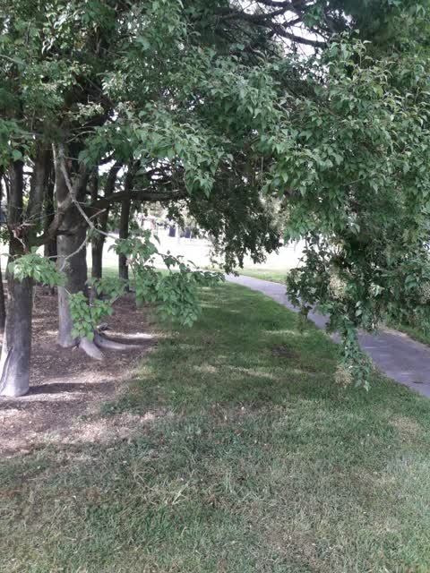 Parks, a report photo