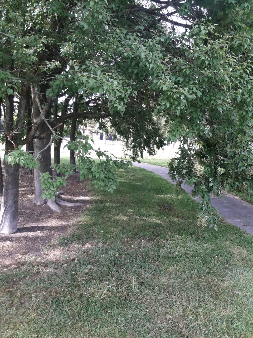The photograph attached to this parks report