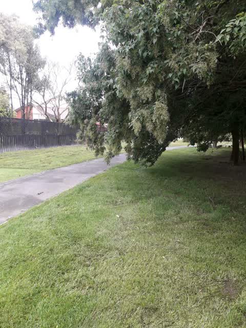 Parks, a report photo
