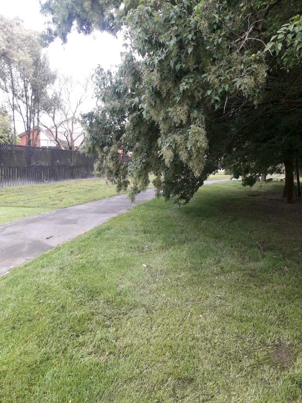 The photograph attached to this parks report
