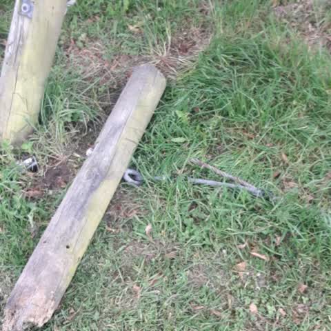 Parks, a report photo